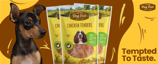 Chicken Tenders
