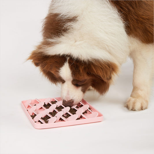 Brown Licking mat
